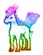 Rainbow Hyper Galaxy Ponyta