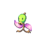 Spring Bellsprout