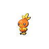 Torchic